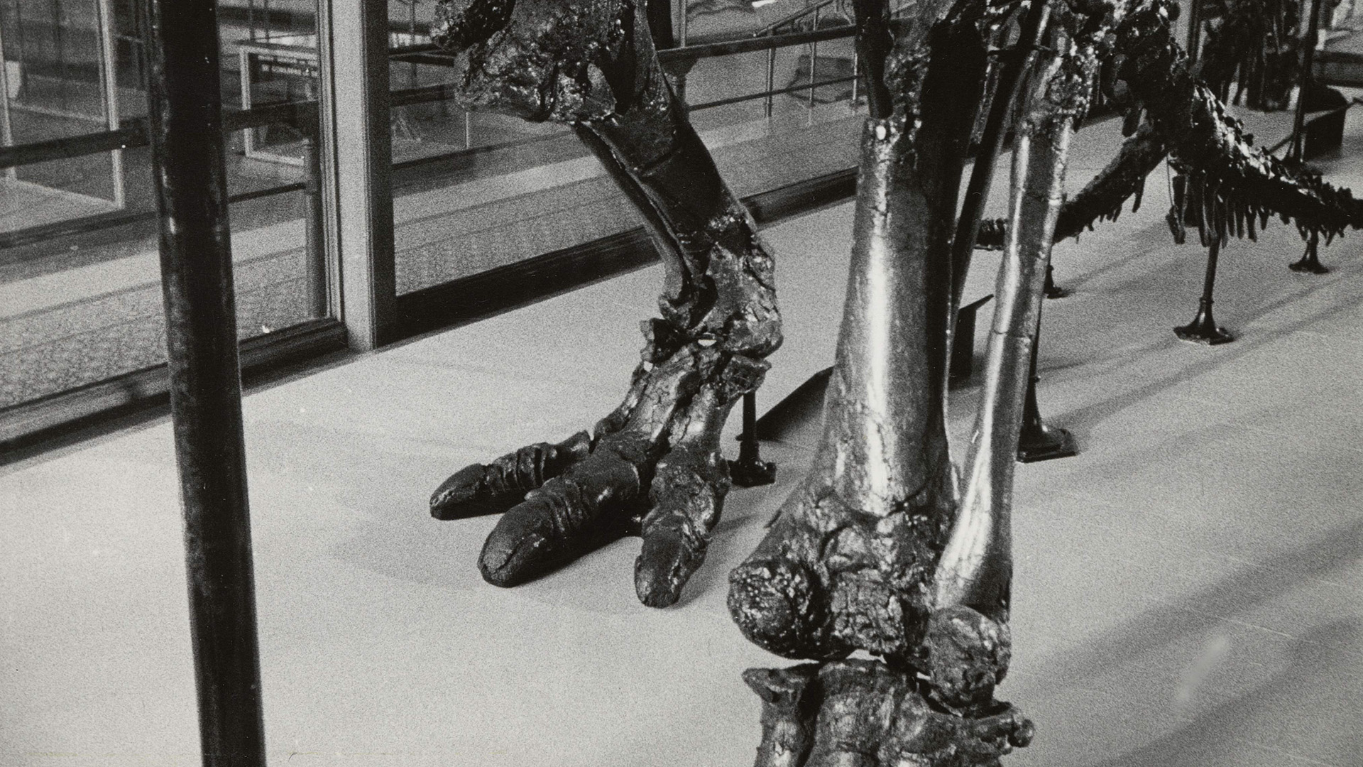 Sanatçıların Sineması6